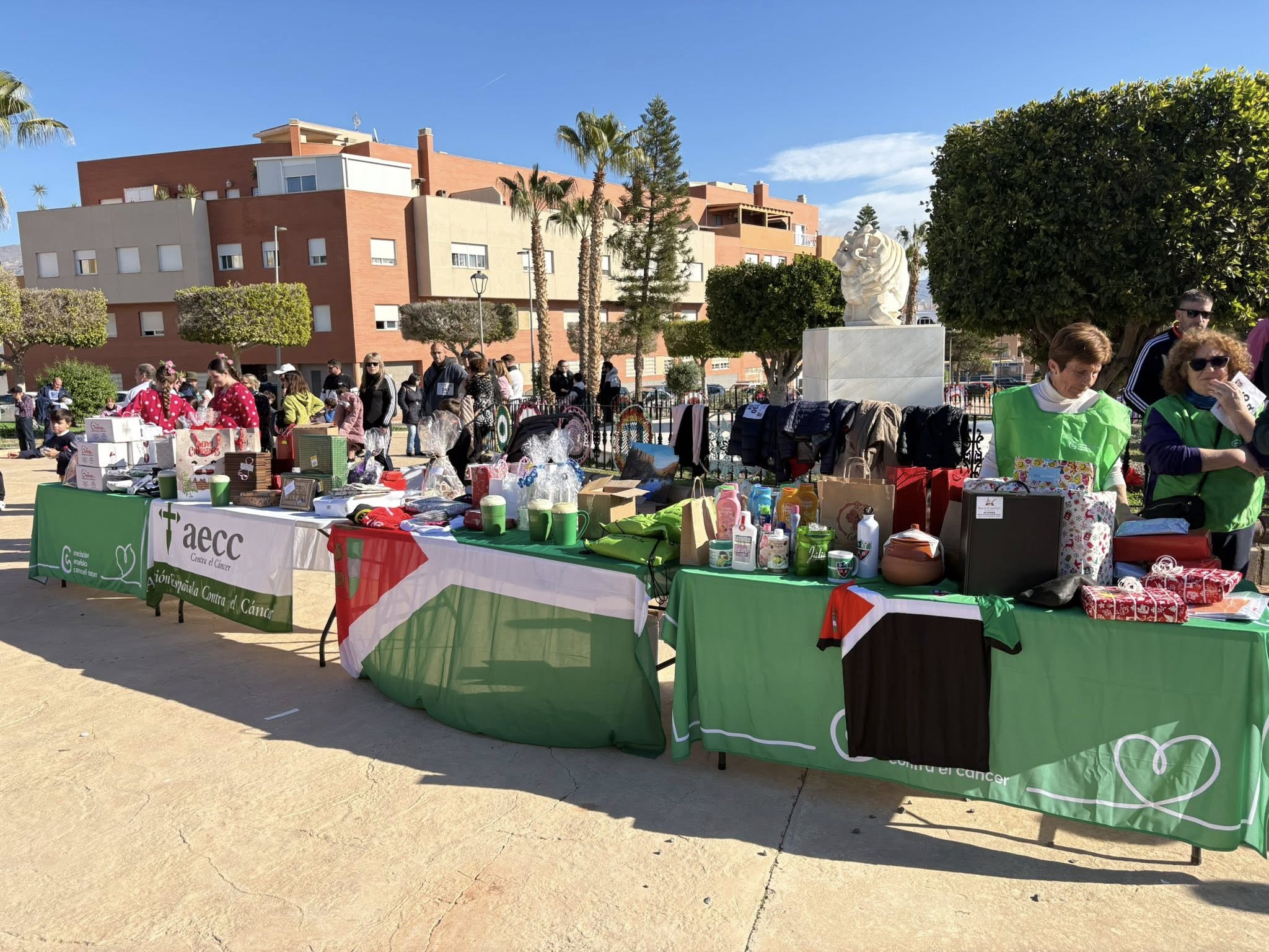 XI Carrera SOLIDARIA contra el Cáncer