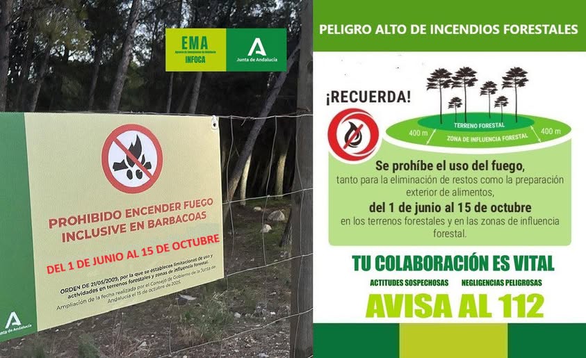  prohibido en zona forestal