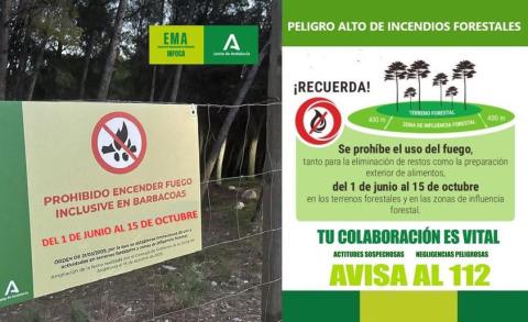  prohibido en zona forestal
